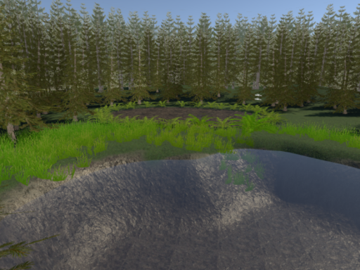Bog ［QSW］
