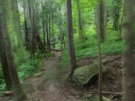 Rainbow Falls Trail - Smoky Mountains 3DGS
