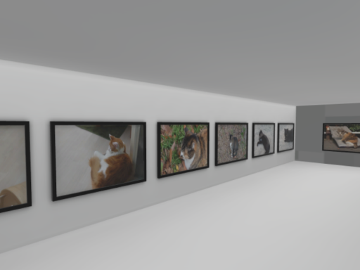 写真展示場