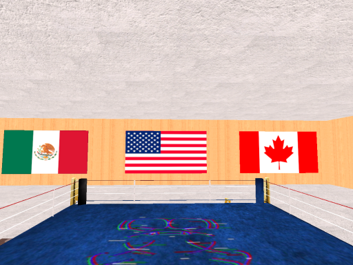 BoxingGym