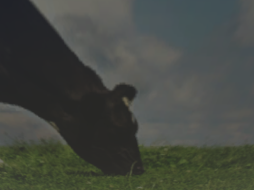 Cowtastrophe