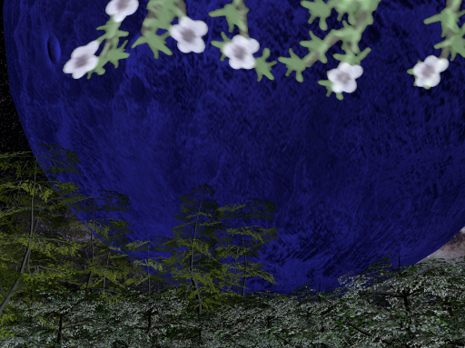Moon Sanctuary