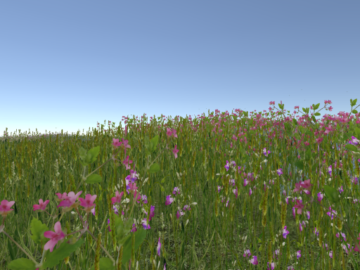 Grass Land