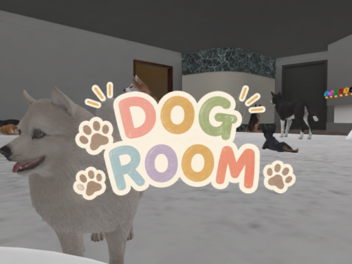 DOG ROOM