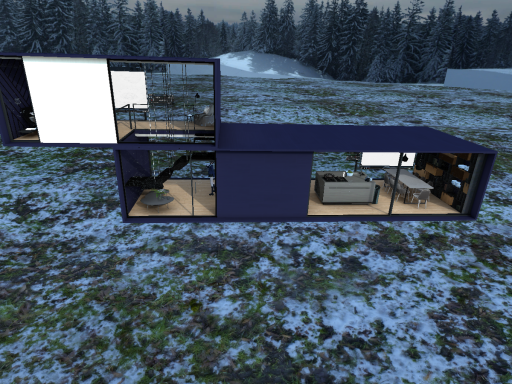 Winter House