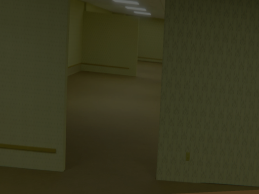 the backrooms