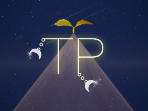 T․P