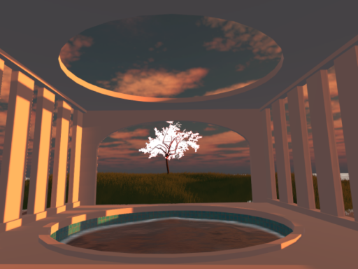 a tree
