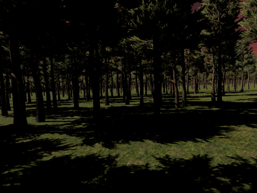 Forest