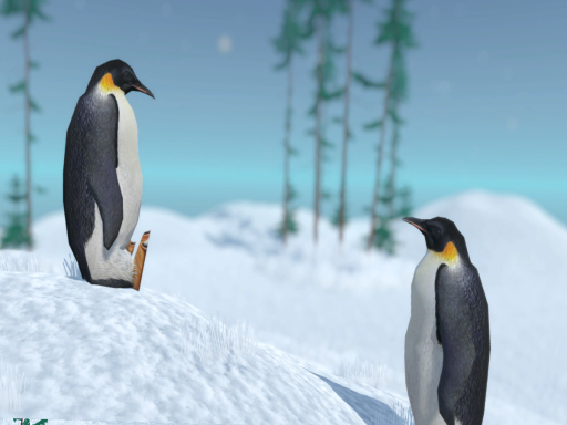 Forest Penguin