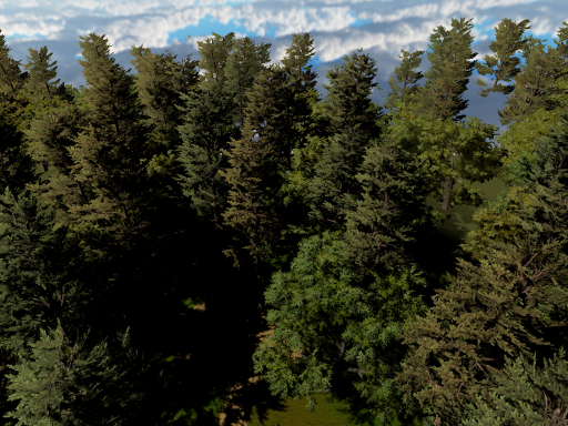 Maxy's forest