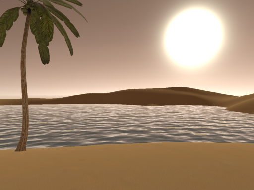 Morning on a desert