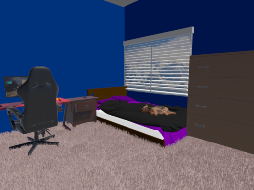 bogo's IRL room