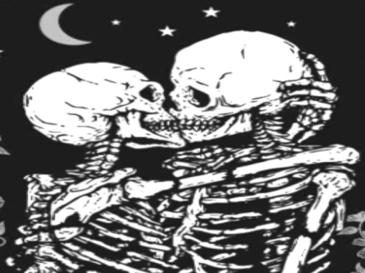 Lovers Nights