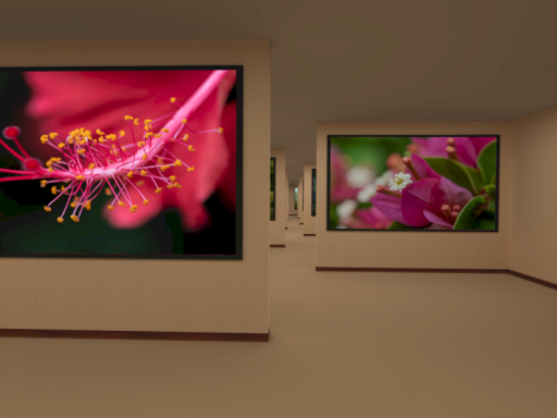 麻油的照片展
