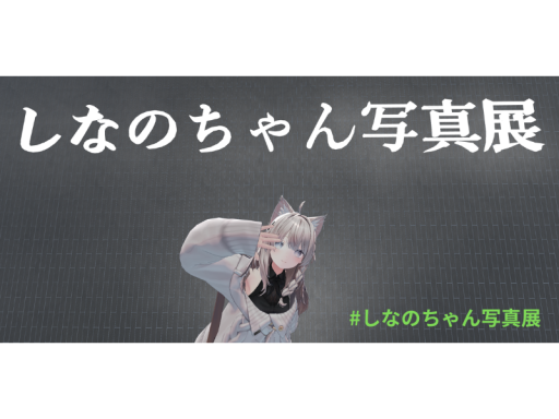 しなのちゃん写真展