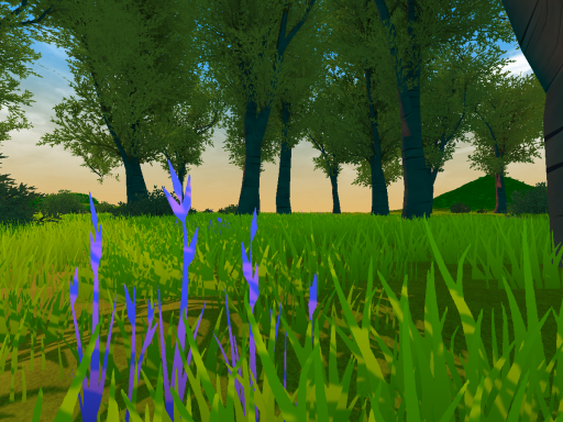 Nature Forest