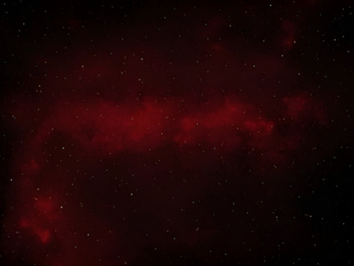 The Crimson Forest