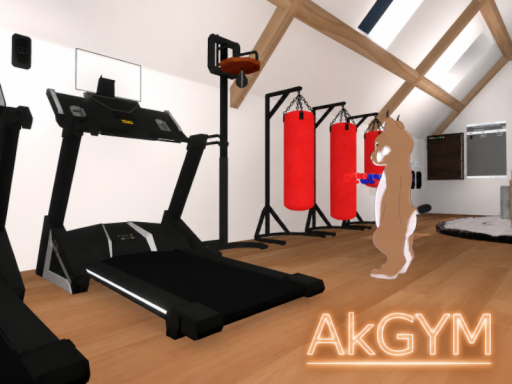 AkGYM-VideoPlayer‚BoxingTraining‚Ttreadmill‚Escalator