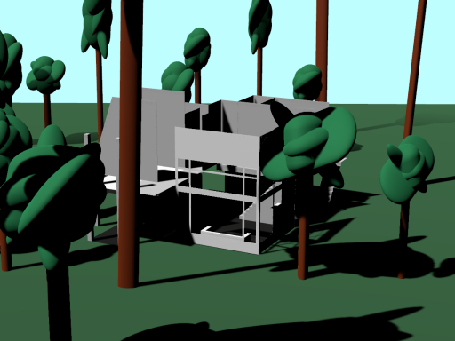 Jungle Forest House‚ blockout phase