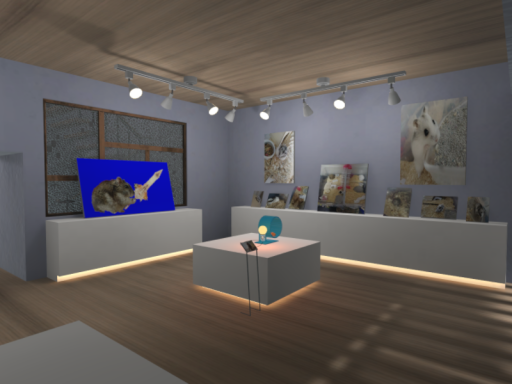 Pshen museum