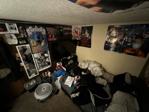 Nolans bedroom