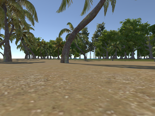 Beach Magii world