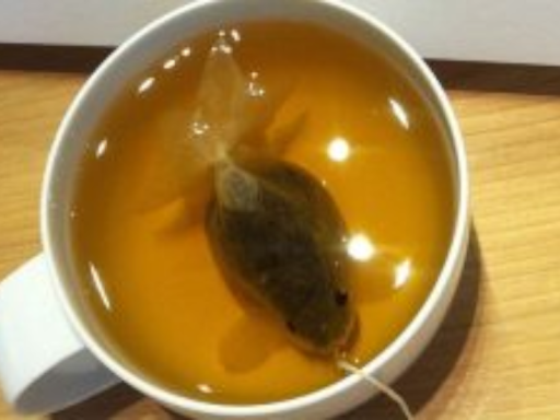 TeaFish