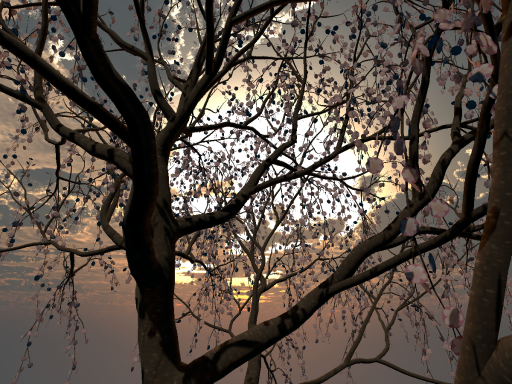 simple cherry blossom world