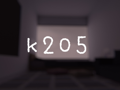 k205