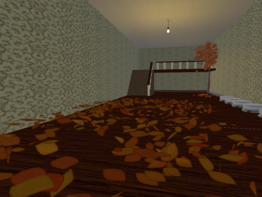 hoped avatar world （Fall update）