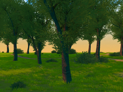 Sunset forest