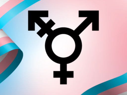 Trans Safe Space