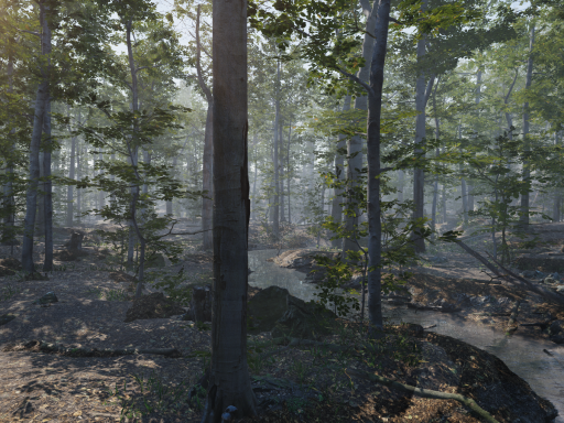 Forest Environment