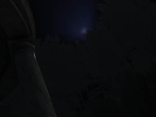 dark forest