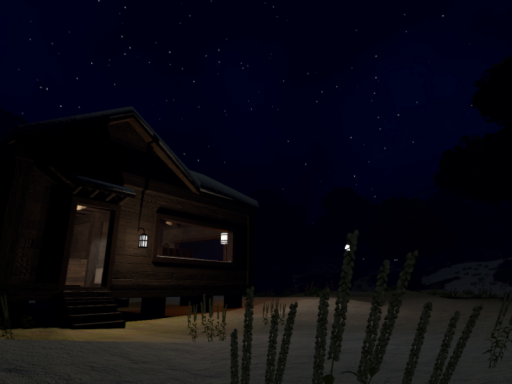 Lonely Cabin In The Woods