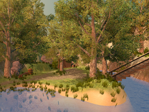 Woodland Hangout