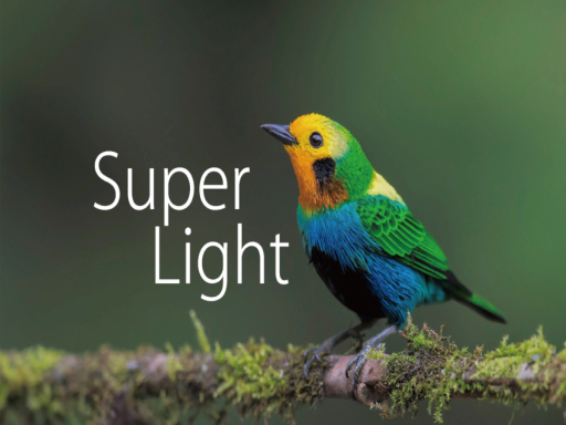 SuperLight