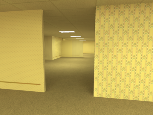 MoolsDog's Backrooms Map
