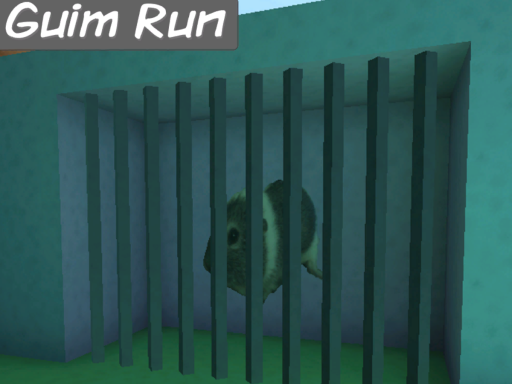 Guim Run