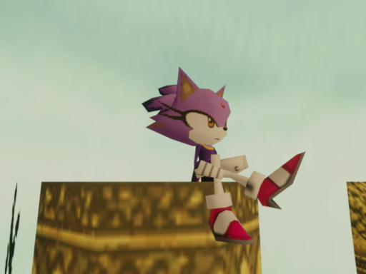 Sky Babalon （Sonic Rush Adventure）
