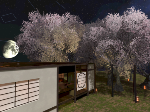星と桜