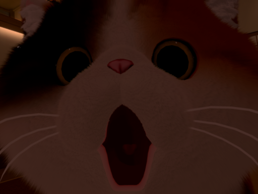 俺ん家！！！！