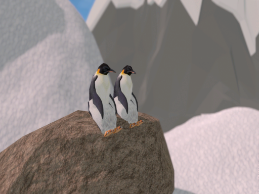 Penguin village