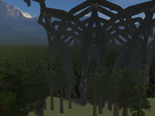 Red Wood Forest and Wedding Venue