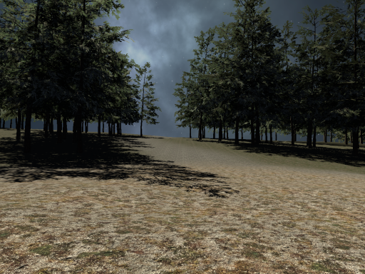 Forest Exploration