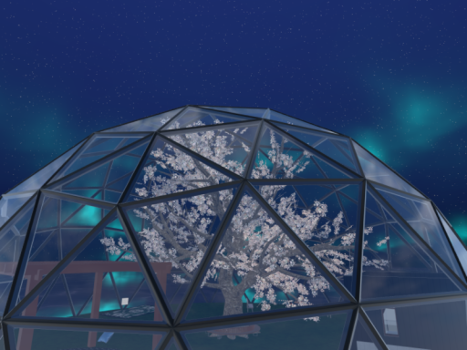 Chu's Dome Home