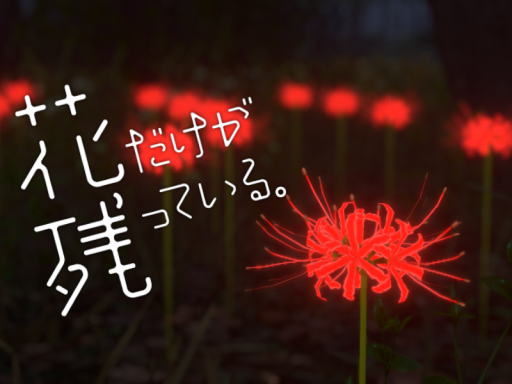 花だけが残っている。
