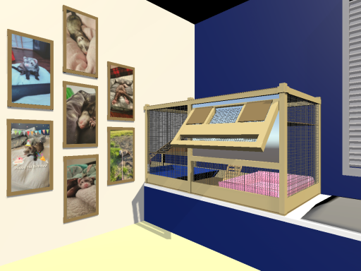 Kimchi's Home
