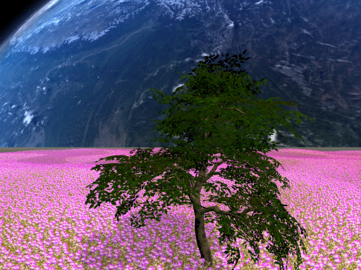 FLOWER GARDEN